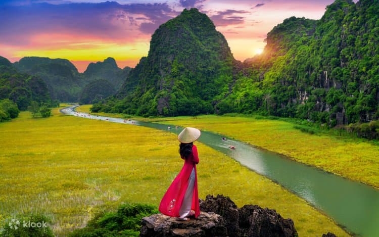 Hình xe dịch vụ: Đưa đón sân bay